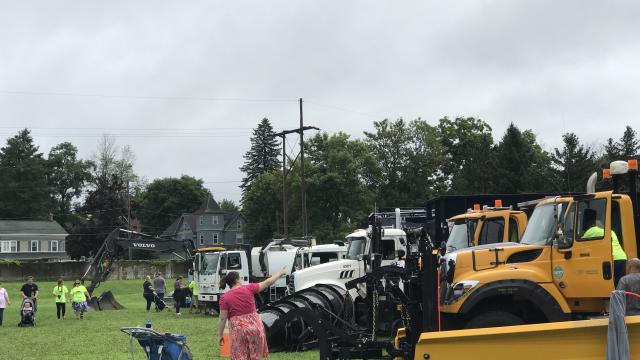 Rows of Vehicles on the Grass